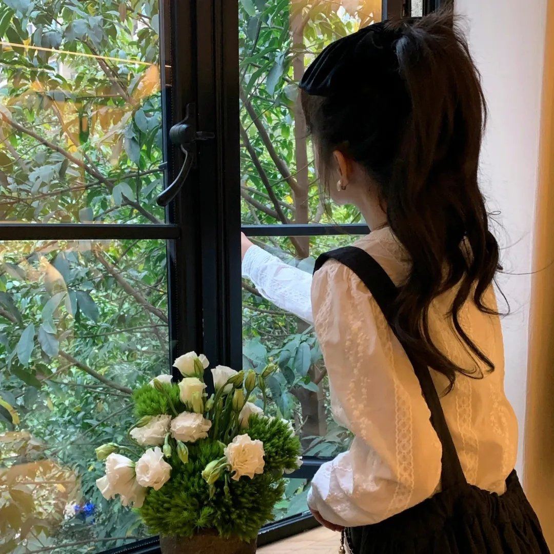 侨女日记 海报